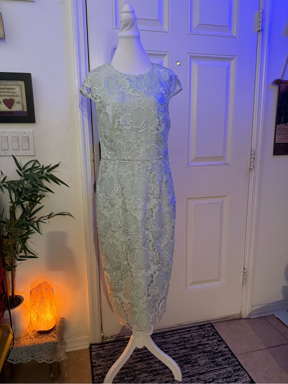 Ted Baker Raenna Mint Green Lace Sheath Dress 4 Elegant Cocktail Wedding Guest - Picture 3 of 14